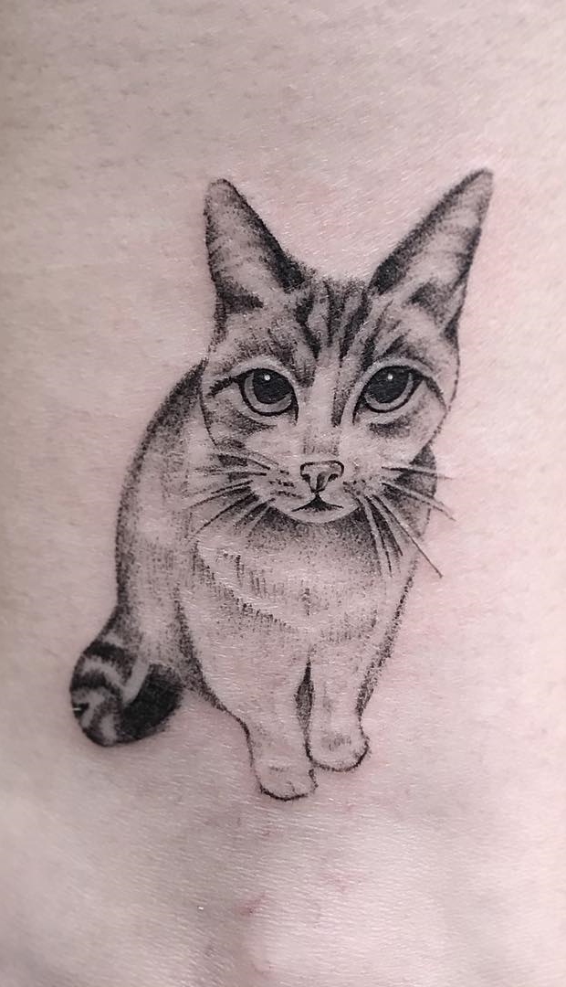 tatuaje gato en mujer 105