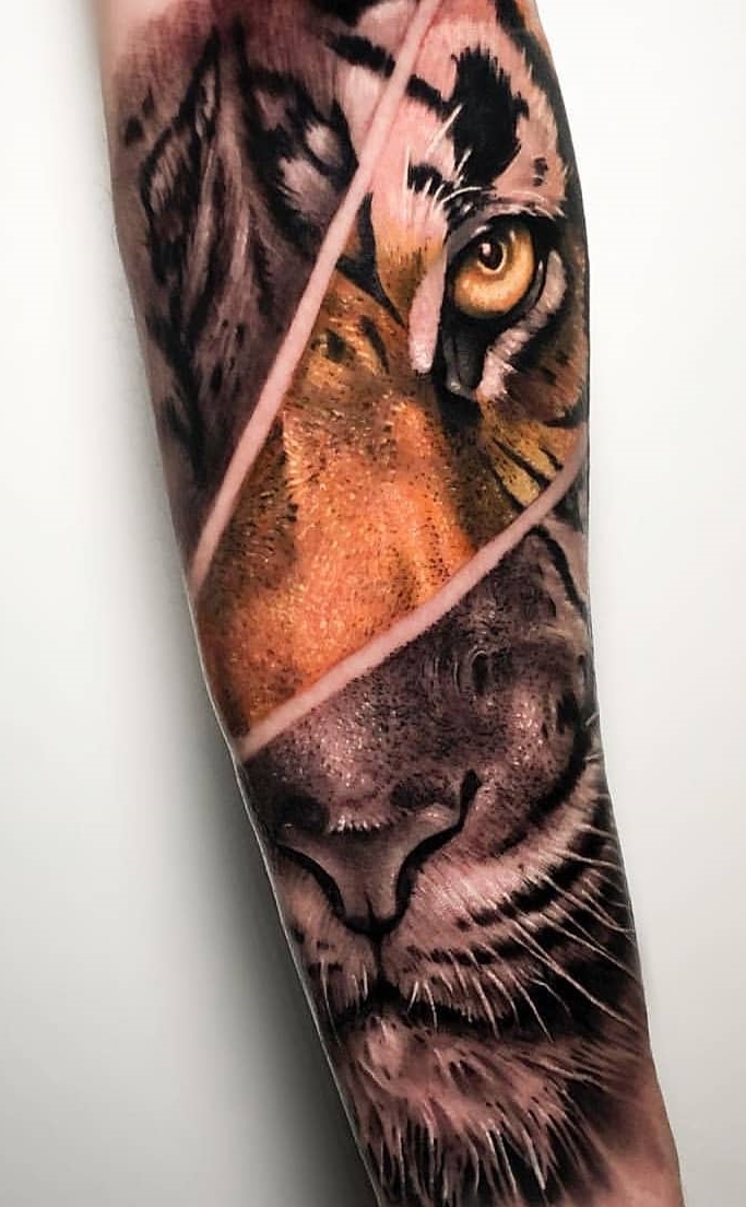tatuaje tigre 16