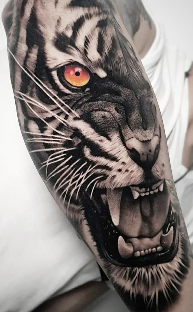 tatuaje tigre 33