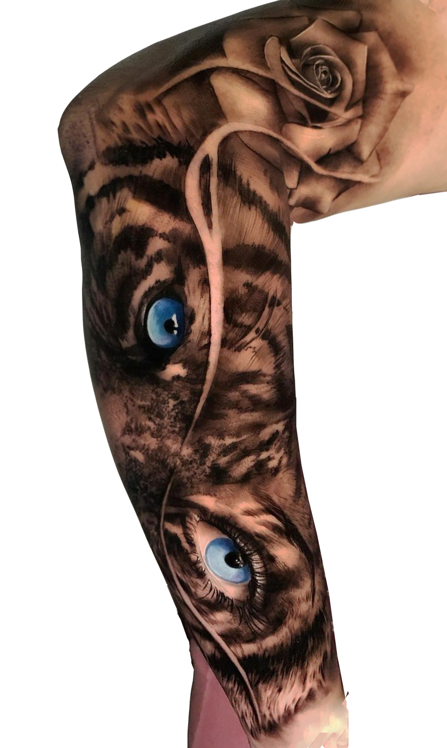 tatuaje tigre 39