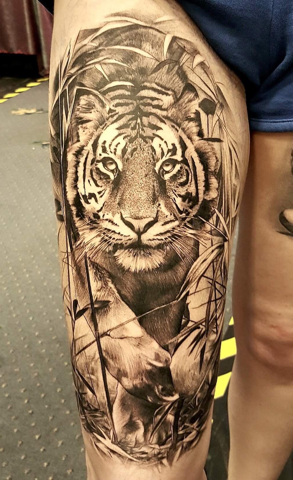 tatuaje tigre 56