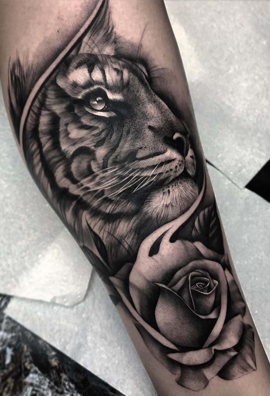 tatuaje tigre 75
