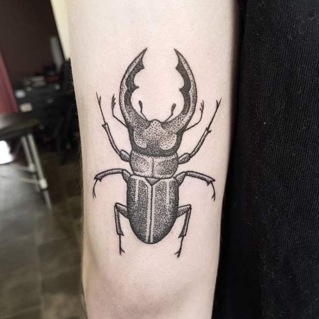 tattoo escarabajo 44