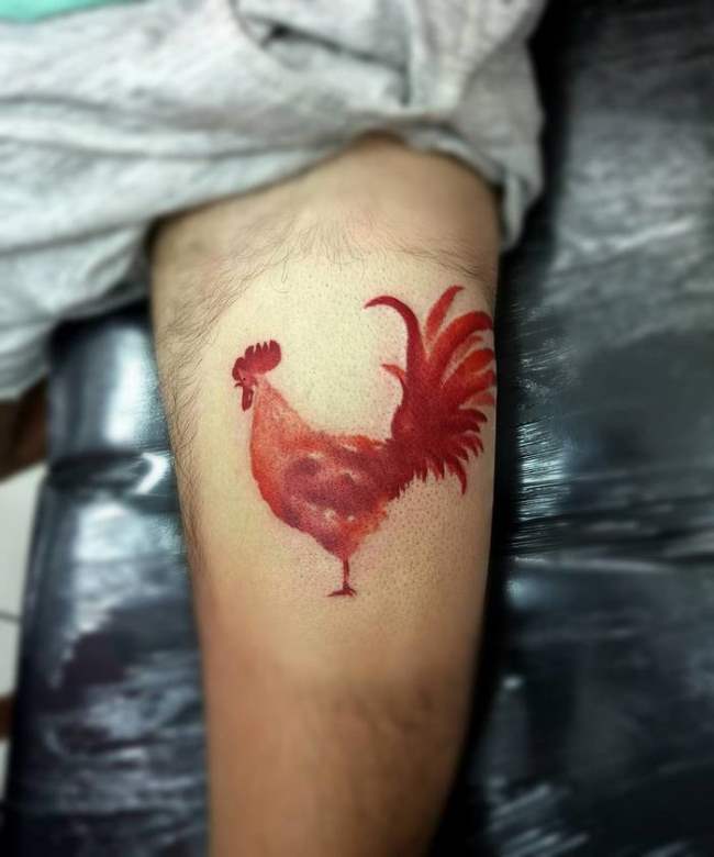 tattoo gallo 16