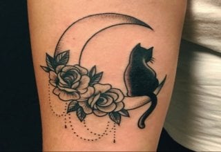 Un gato sentado en una luna