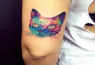 Un gato irreal tatuado con multitud de colores