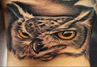 owl tatoo 2