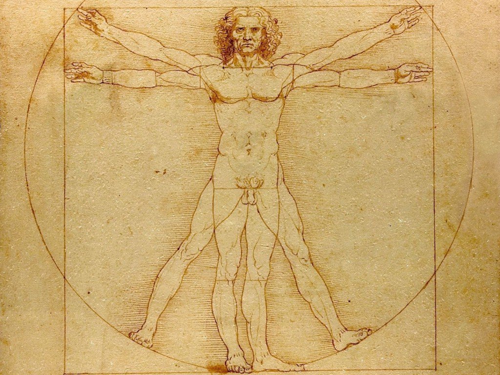 Homme de Vitruve da vinci 43