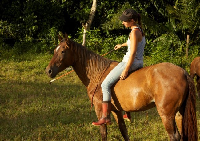 Rêver de monter à cheval : qu'est-ce que ça signifie ?