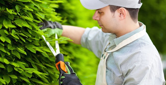 Rêver de jardinier : que vous dit votre subconscient ?