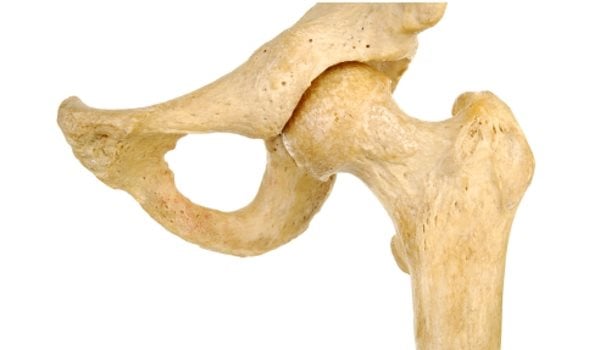 Quels os sont appelés les os irréguliers ?