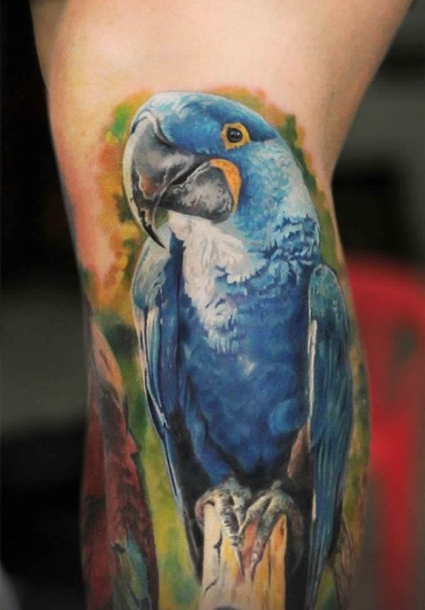 perroquet tatouage