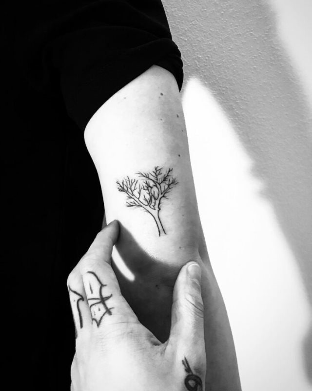 tattoo feminin arbre 46