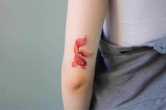 tattoo feminin de carpe 18