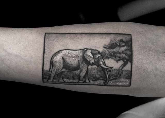 tattoo feminin elephant 14