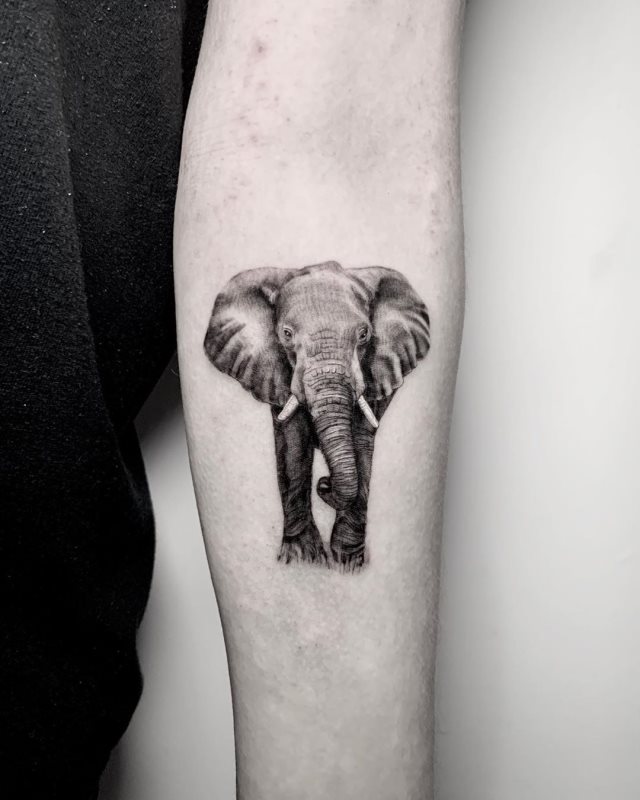 tattoo feminin elephant 19