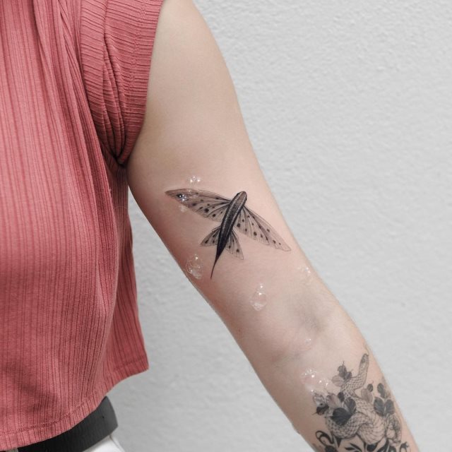 tattoo feminin poisson 16