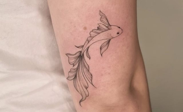 tattoo feminin poisson 81