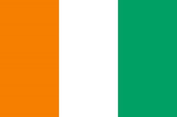 Drapeau de Côte d'Ivoire : Histoire et signification des couleurs et des emblèmes