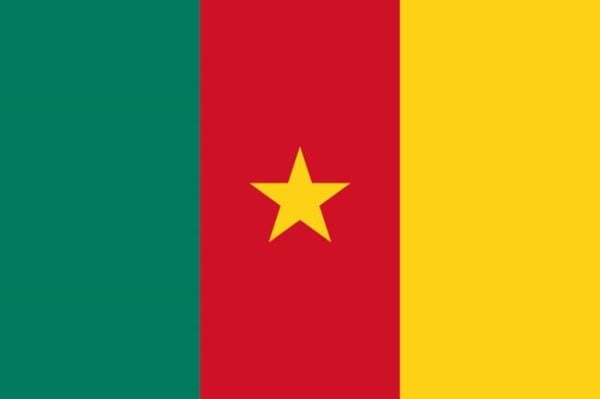 Que symbolisent les couleurs du drapeau du Cameroun ? : Histoire et signification