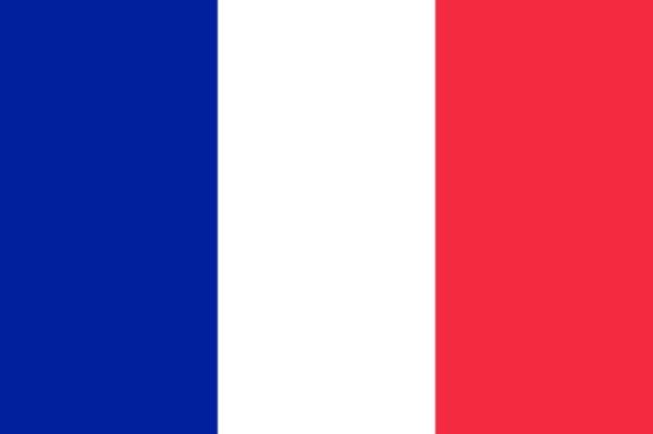 Drapeau de France : Histoire et signification des couleurs et des emblèmes