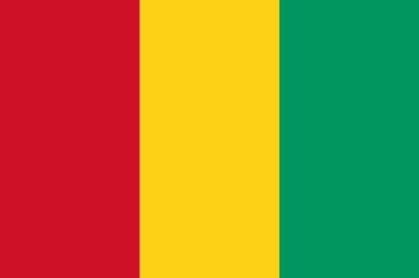 Drapeau de Guinée : Histoire et signification des couleurs et des emblèmes