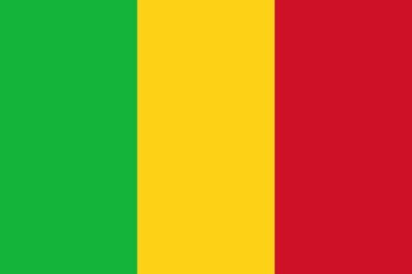 Drapeau du Mali : Histoire et signification des couleurs et des emblèmes