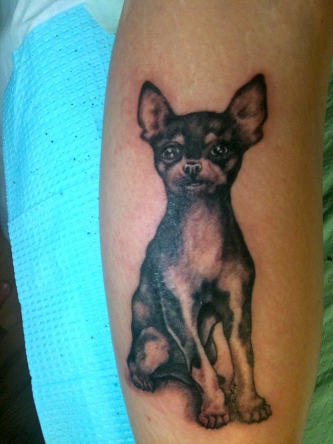 200 tatouage chien