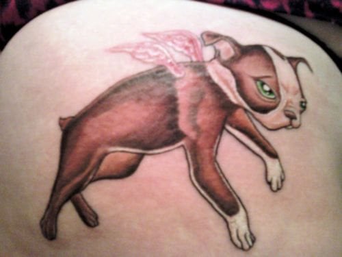 218 tatouage chien