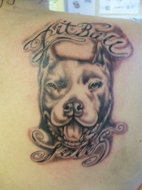 228 tatouage chien