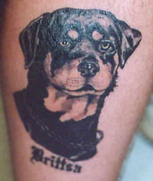 239 tatouage chien