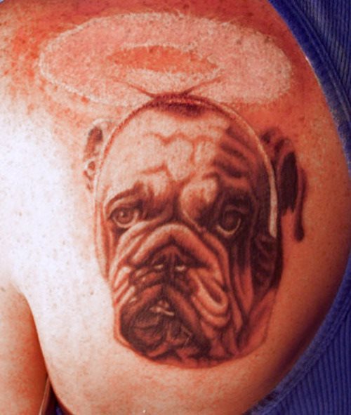 240 tatouage chien