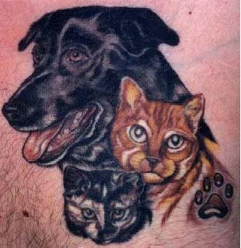 242 tatouage chien