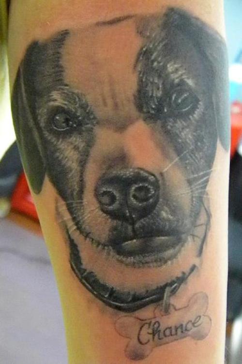 244 tatouage chien