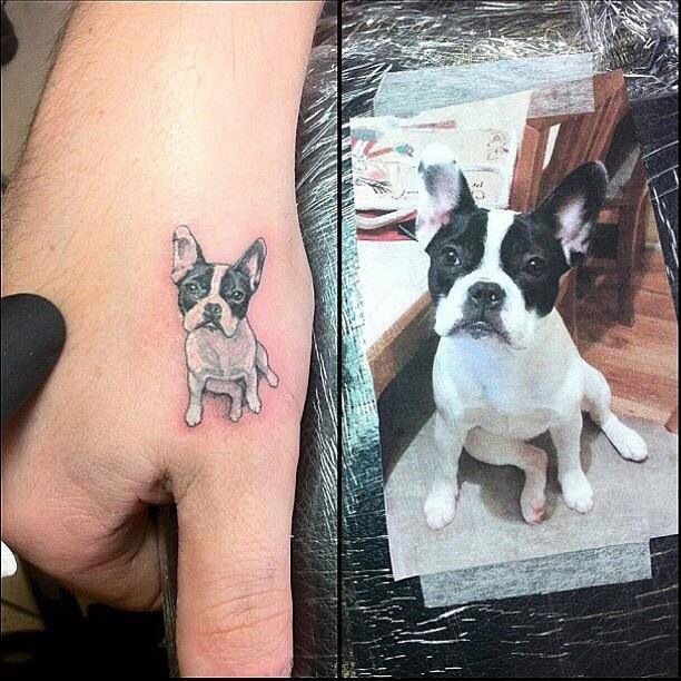 247 tatouage chien