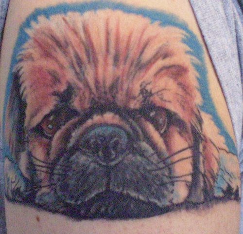 255 tatouage chien