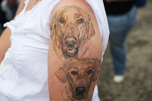 256 tatouage chien