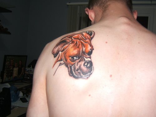 262 tatouage chien