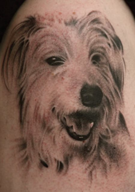 tatouage chien 51