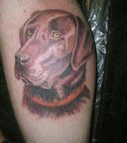 tatouage chien 52