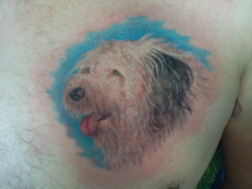 tatouage chien 53