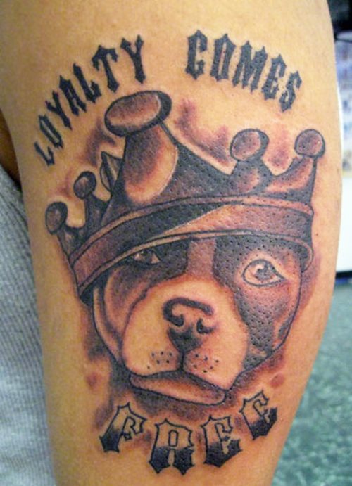 tatouage chien 64