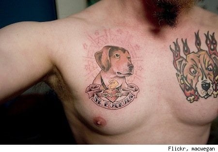 tatouage chien 71