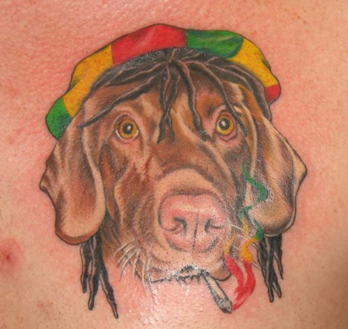 tatouage chien 72