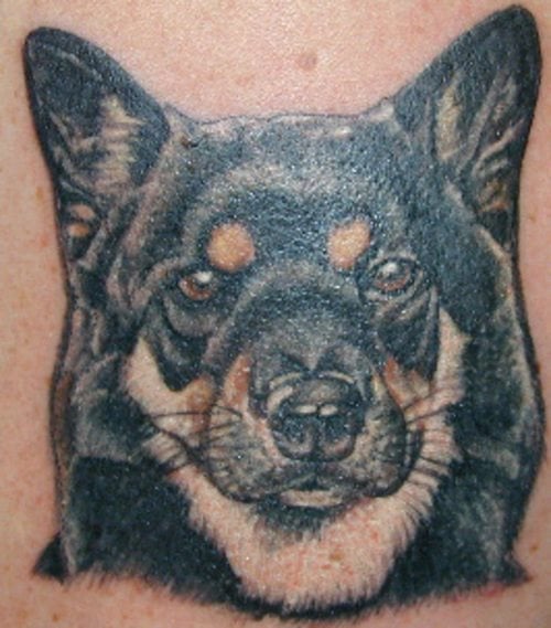 tatouage chien 80