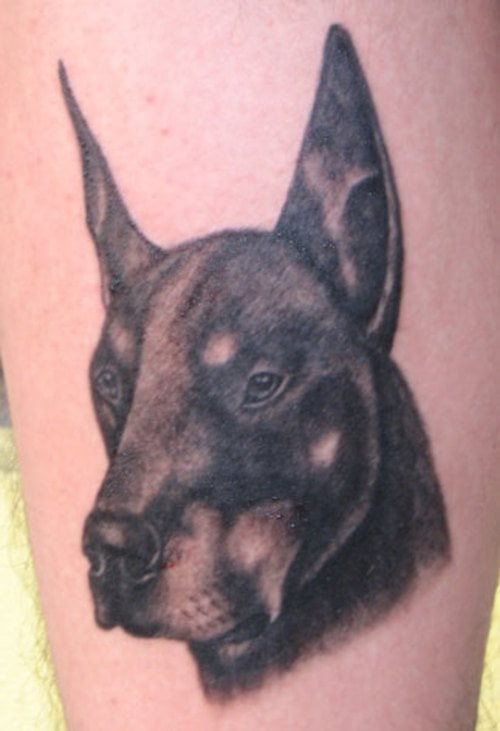 tatouage chien 81