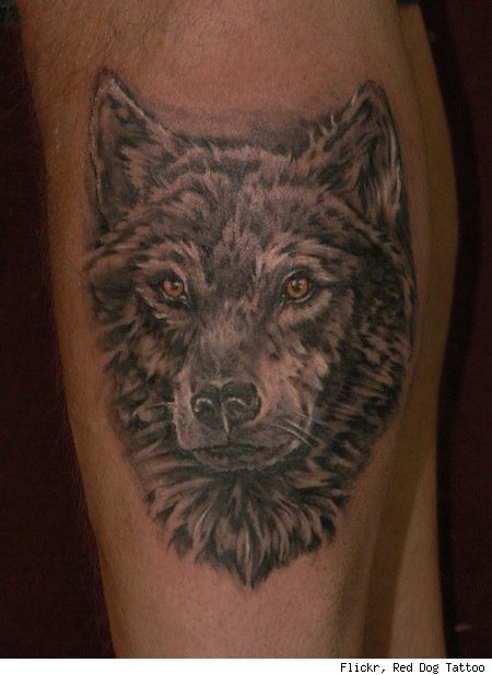 tatouage chien 82
