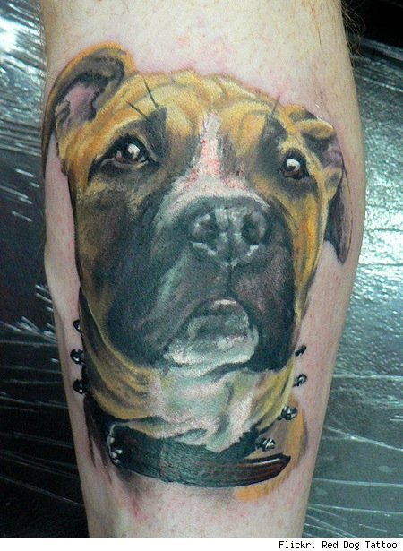 tatouage chien 83