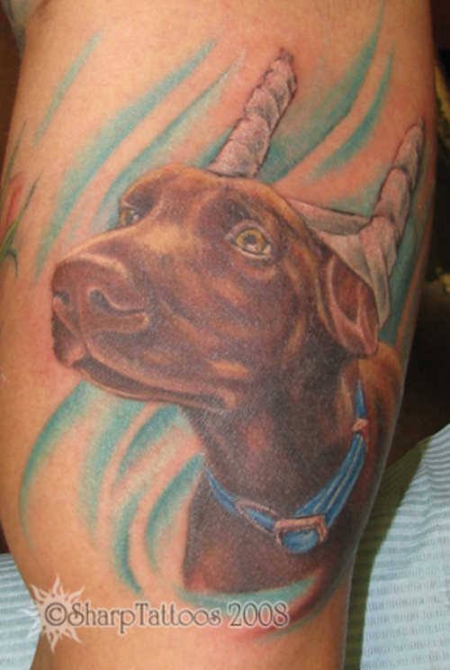 tatouage chien 84