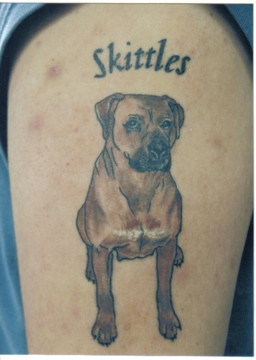 tatouage chien 91